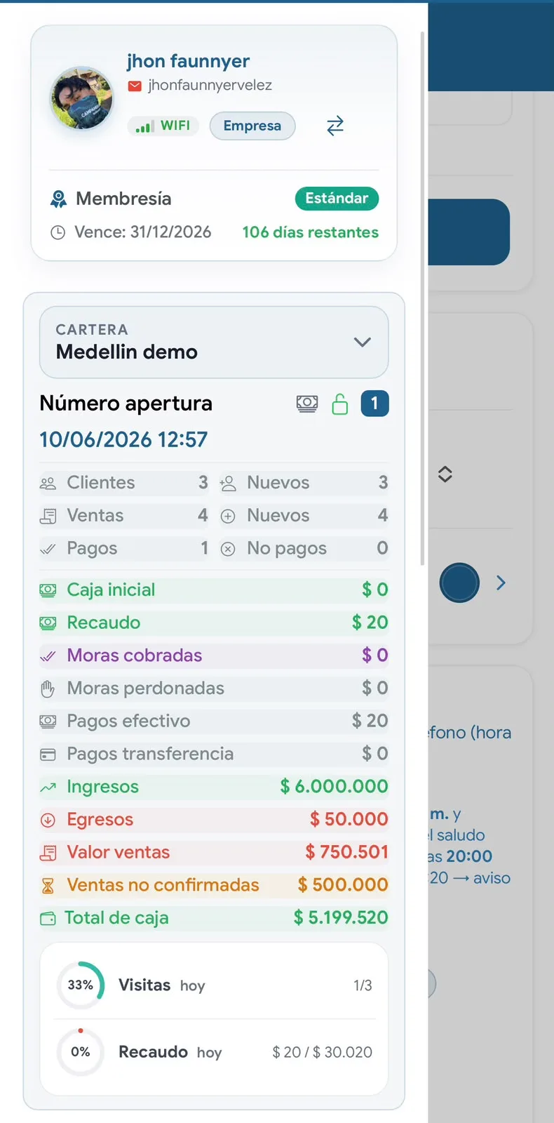 SALE - Resumen de cartera